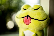 Load image into Gallery viewer, Froggy Plush