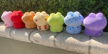 Load image into Gallery viewer, Froggy Plush
